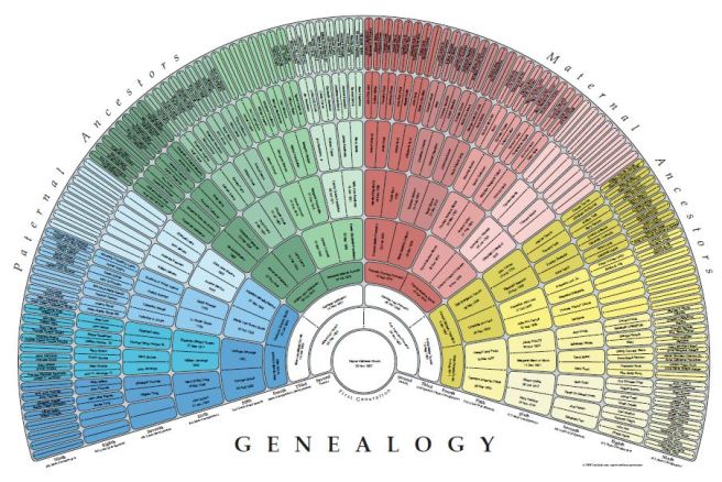 Chart from Createfan