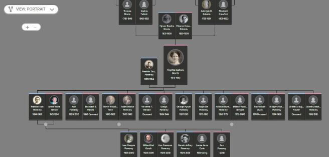 Click on up and down arrows to see additional generations of ancestors or descendants