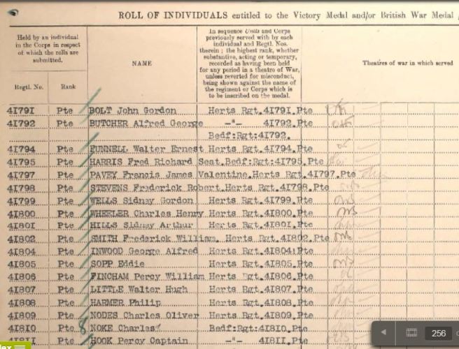 Captain Hook WWI Medals