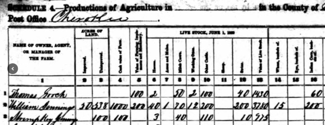 Agriculture Schedule for San Saba TX 1860
